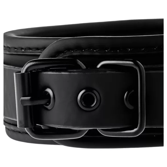 Blaze - collier et laisse - noir