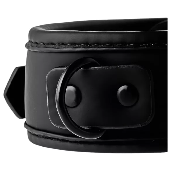 Blaze - collier et laisse - noir