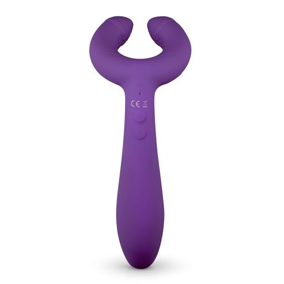 Easytoys Couple - vibromasseur pour couple rechargeable étanche - violet