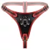 Easytoys - harnais avec triple godemichet - noir