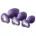 Flirts - kit pour initiation anale - set de plugs anaux 3 pièces - violet