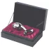 Njoy Pure Plug 2.0 - plug anal en métal - argent