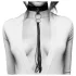 Bijoux Indiscrets - collier et fouet - cuir noir