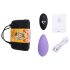 FEELZTOYS Culotte - Vibromasseur Clitoridien Rechargeable Sans Fil (Violet)