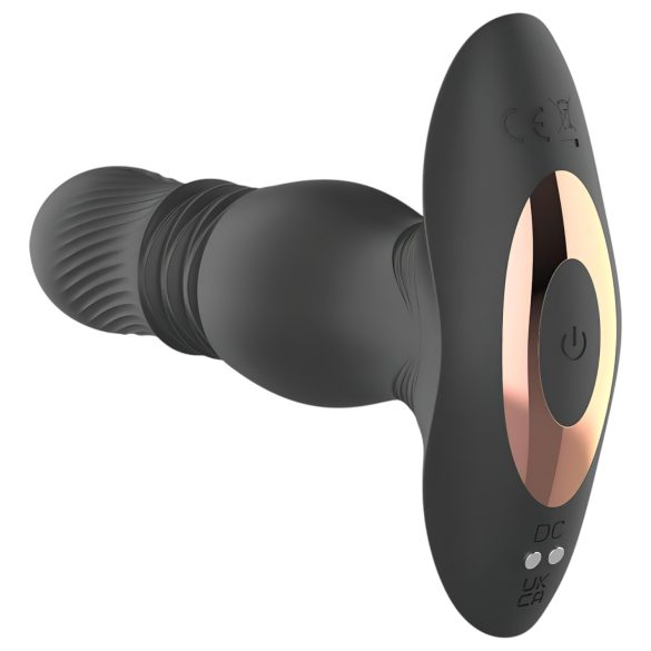 Aixiasia Roy - vibromasseur anal à piston sans fil rechargeable - noir