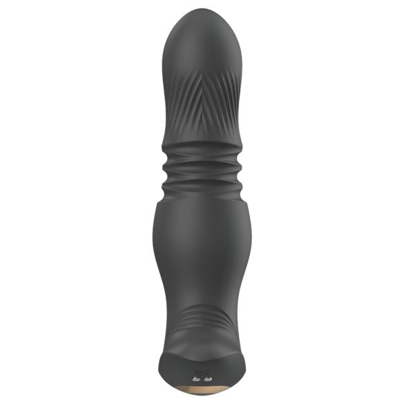 Aixiasia Roy - vibromasseur anal à piston sans fil rechargeable - noir