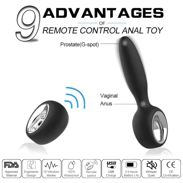 Aixiasia Dylon-Remote - plug anal vibrant télécommandé rechargeable - noir